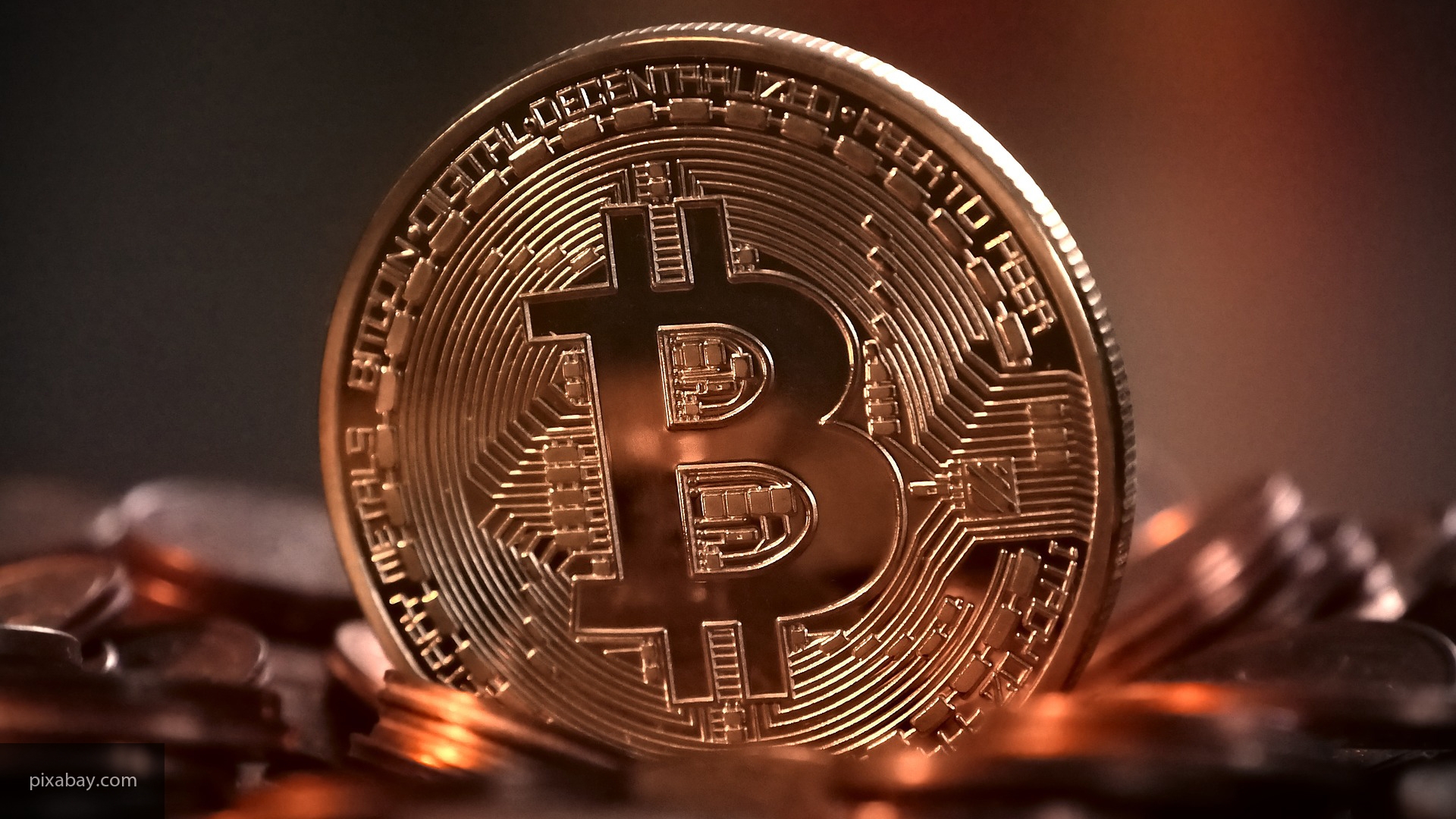 Биткоин прибавил 57 000% за 8 лет. Как криптовалюта достигала нового исторического максимума
