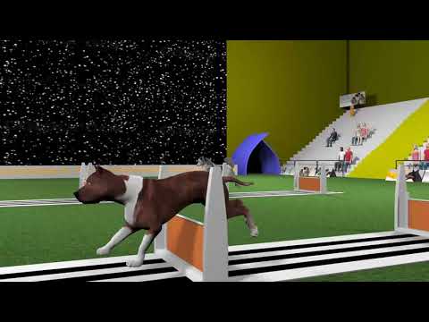 Собачий рейсинг: обзор игры Deflyball