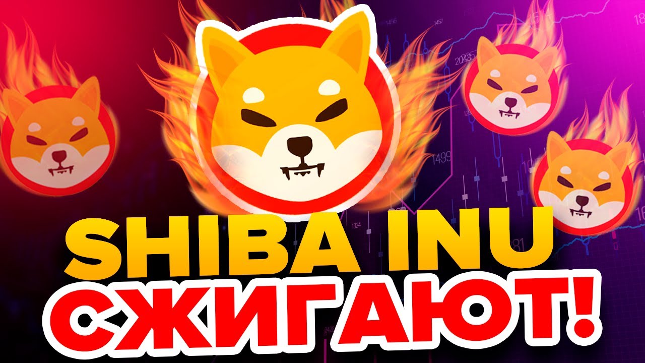 Сжигание монет Shiba Inu как триггер развития — экосистема мем-криптовалюты растет